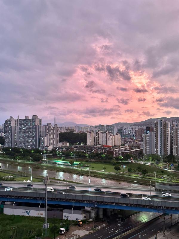 컨텐츠파일