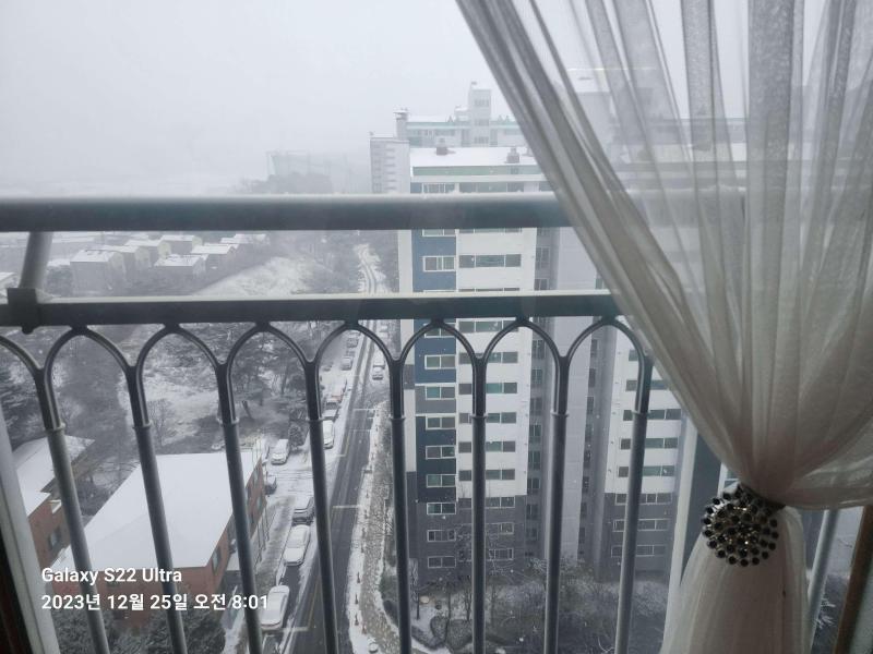 컨텐츠파일