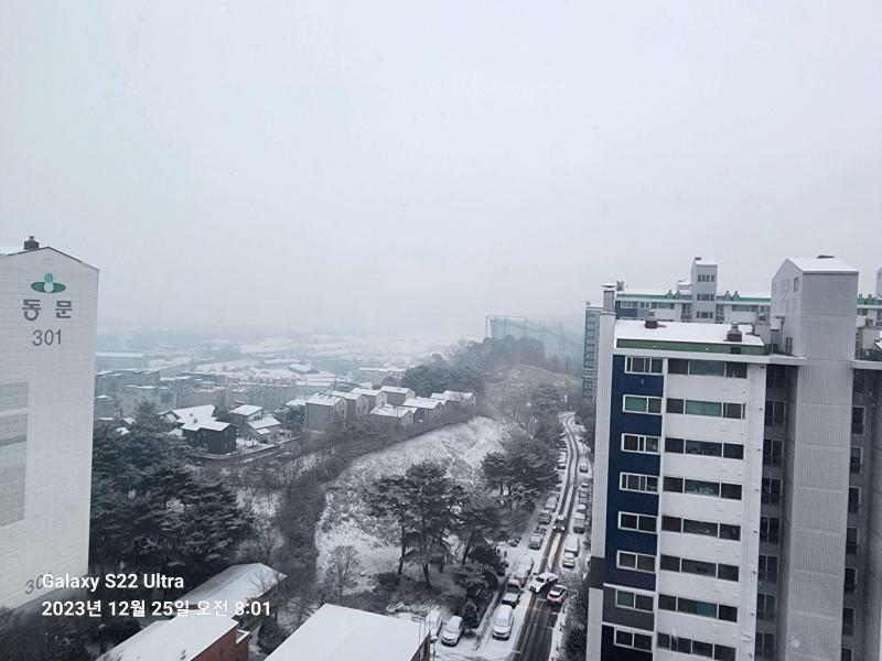 컨텐츠파일