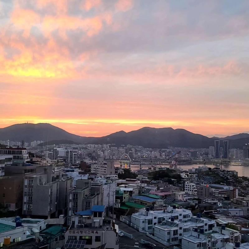 컨텐츠파일