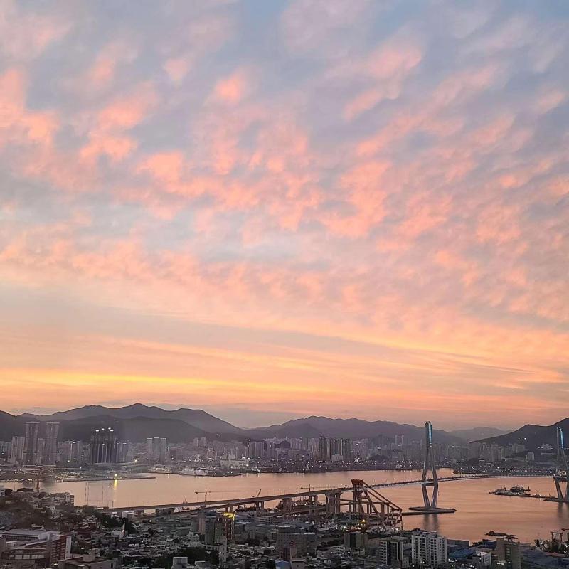컨텐츠파일
