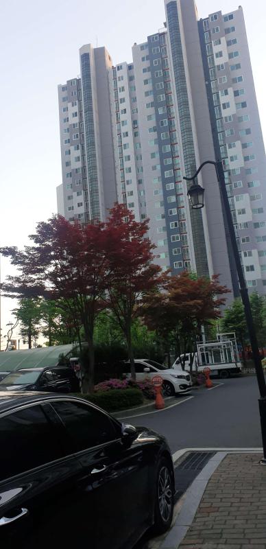 배당부자되기
