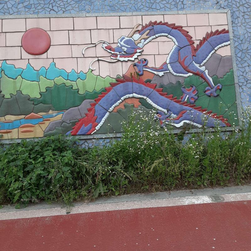cntn