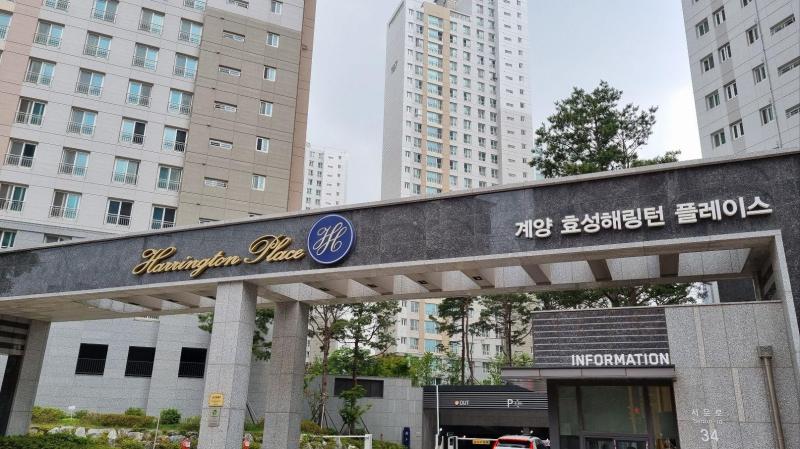 플로라랭이