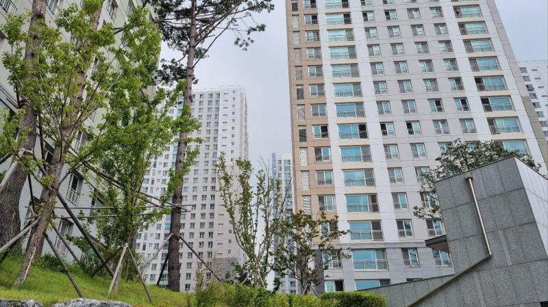 컨텐츠파일