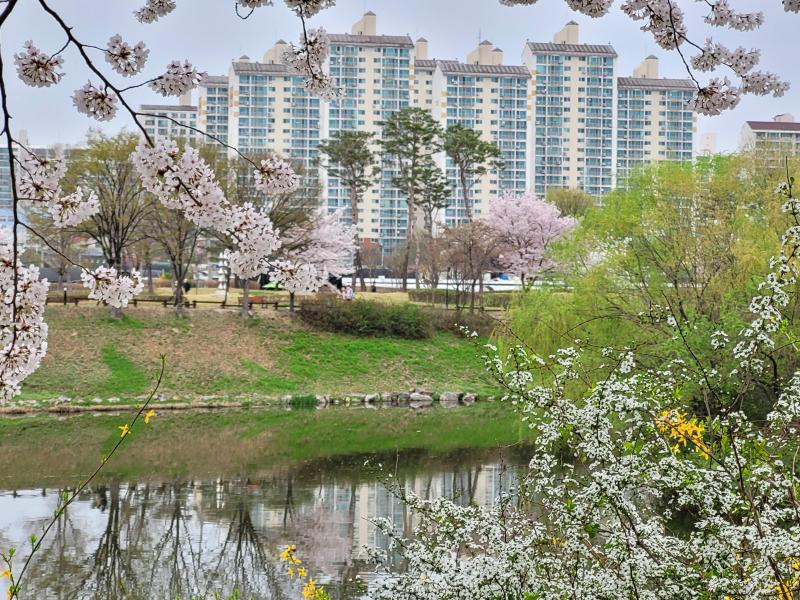 컨텐츠파일