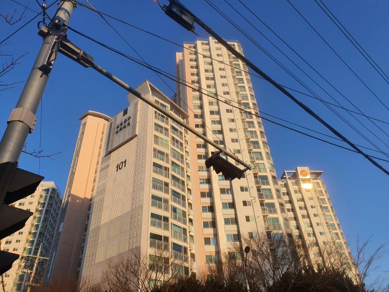 컨텐츠파일