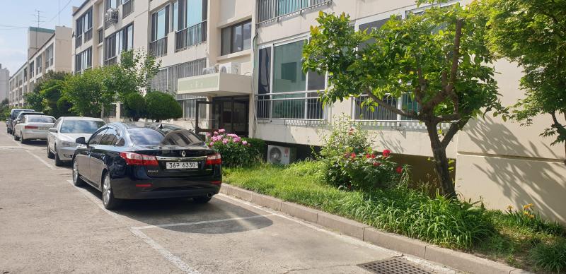 컨텐츠파일