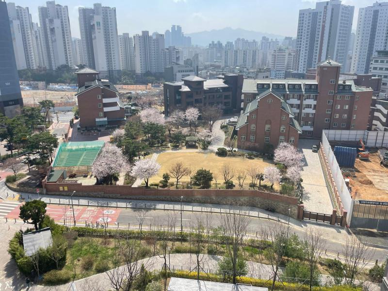 컨텐츠파일