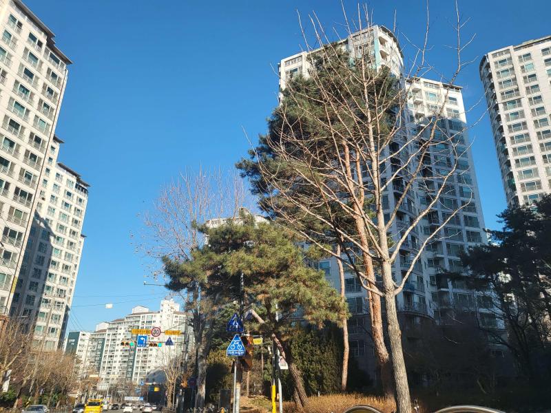 컨텐츠파일