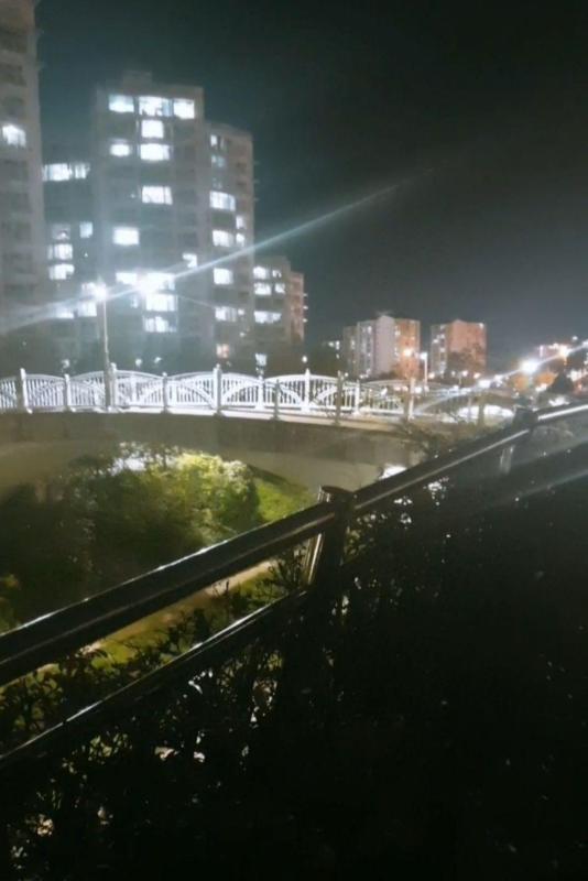 컨텐츠파일