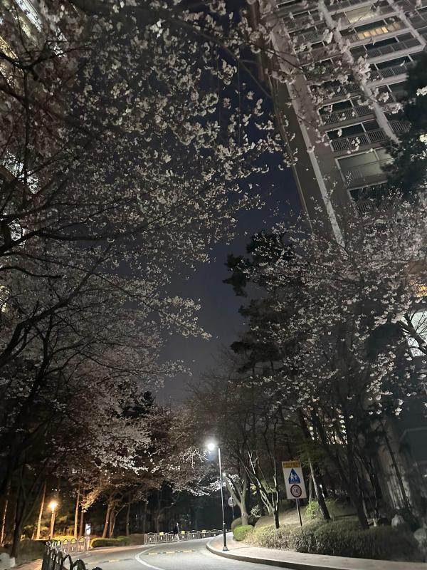 컨텐츠파일