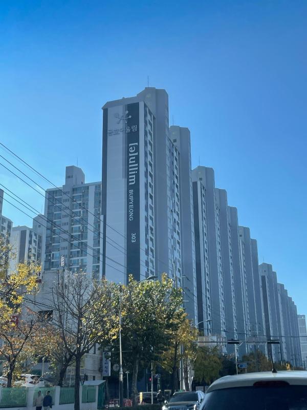 순후추