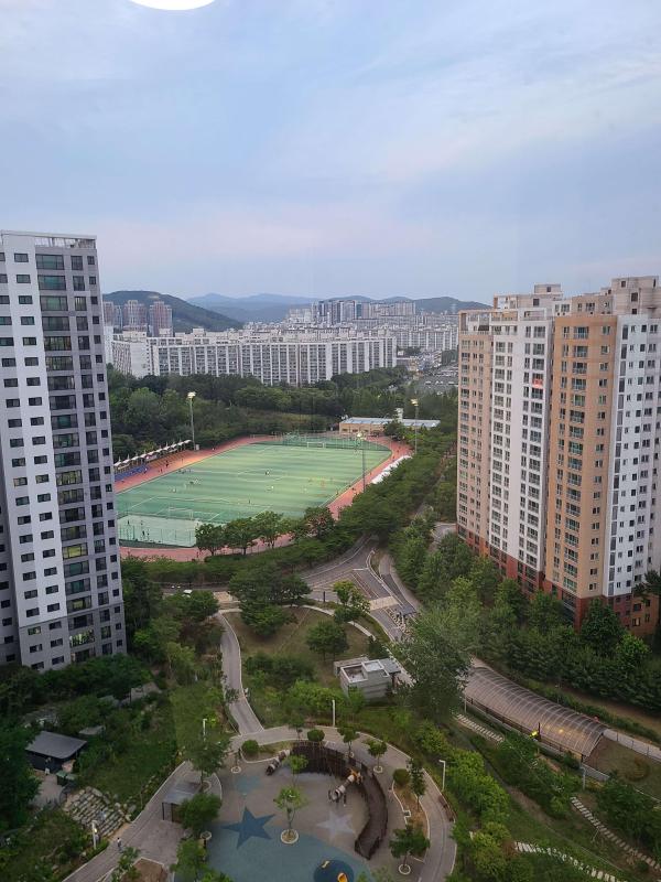 컨텐츠파일