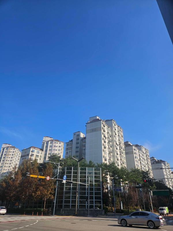 컨텐츠파일