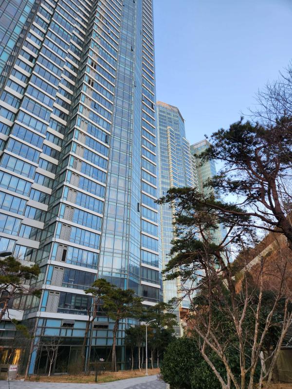 마이클스