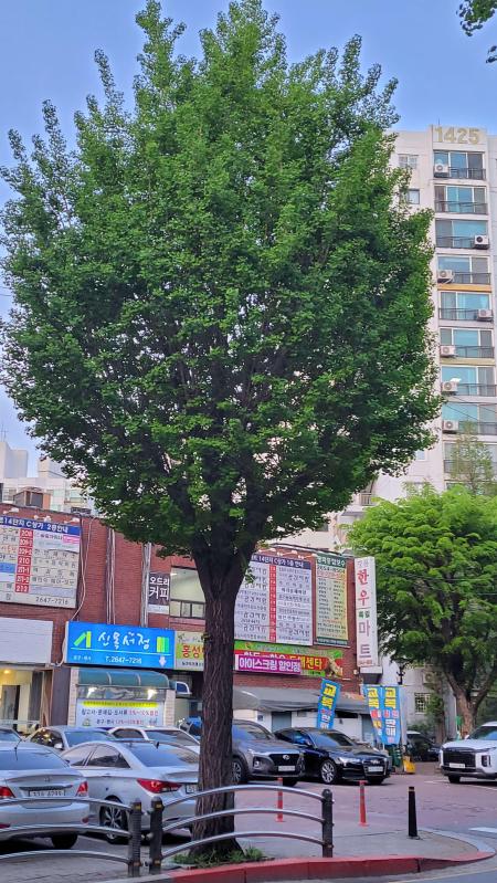 컨텐츠파일
