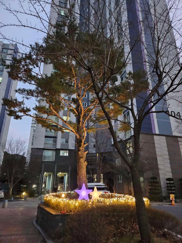 꽁이요