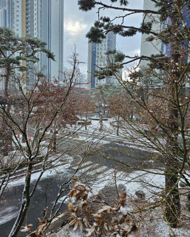 꽁이요