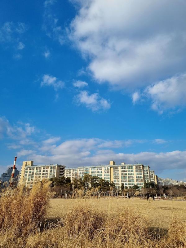 컨텐츠파일