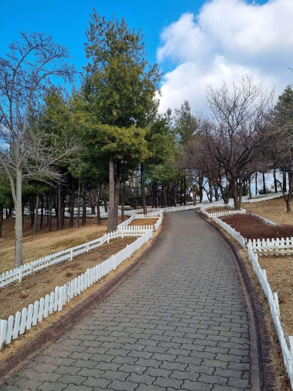 컨텐츠파일