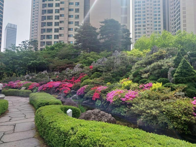 컨텐츠파일