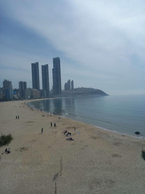 컨텐츠파일