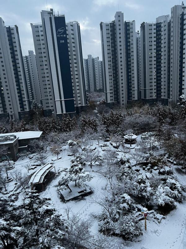 컨텐츠파일