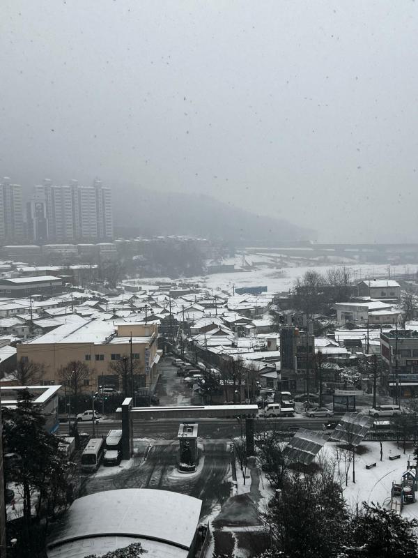 컨텐츠파일