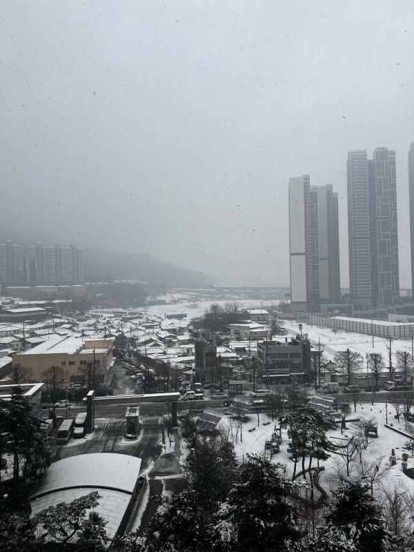 컨텐츠파일