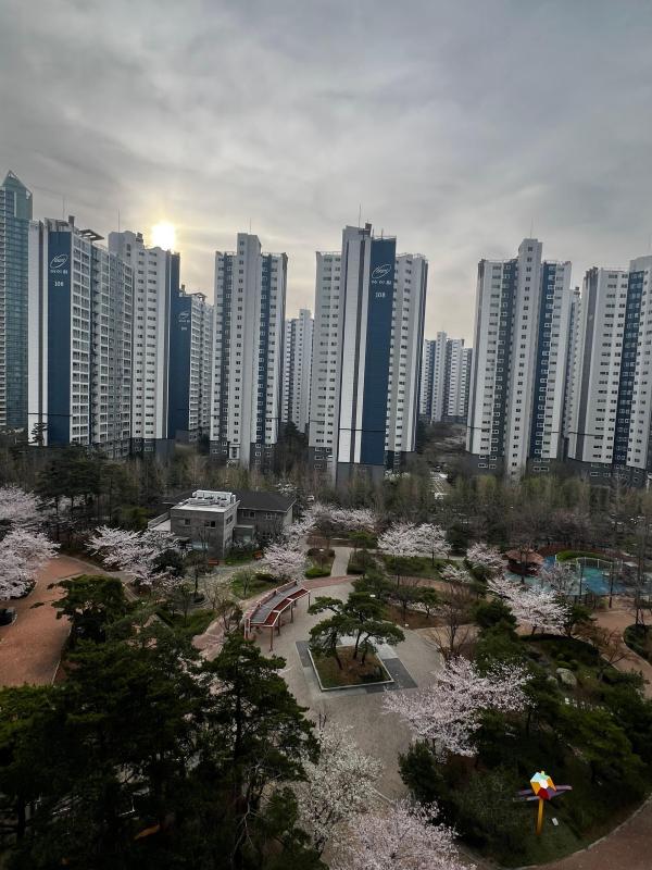 컨텐츠파일