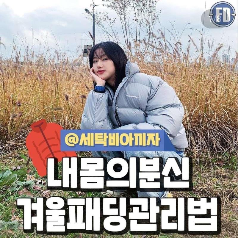 패딩 구매