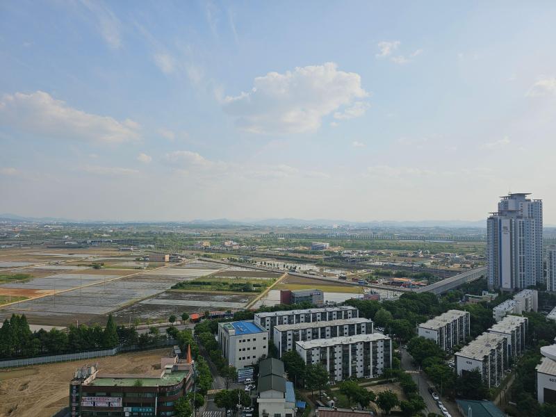 컨텐츠파일