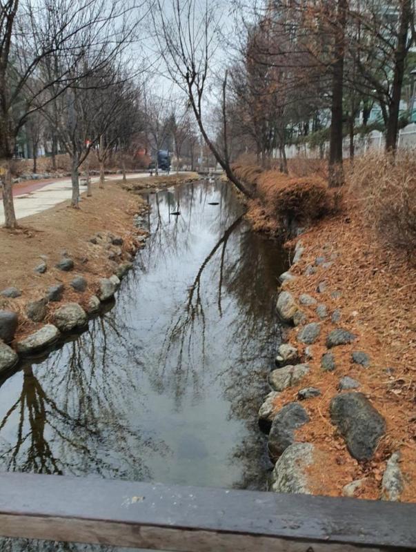 컨텐츠파일