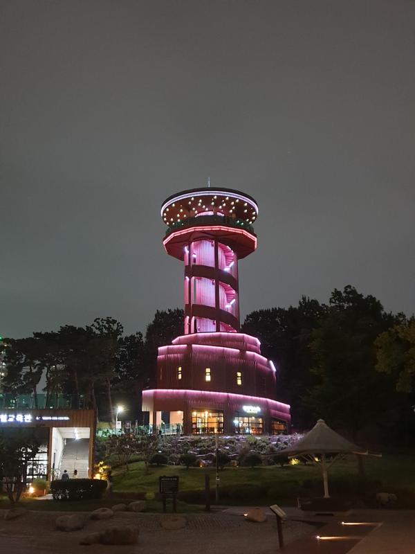컨텐츠파일
