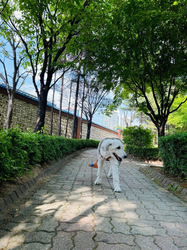 컨텐츠파일