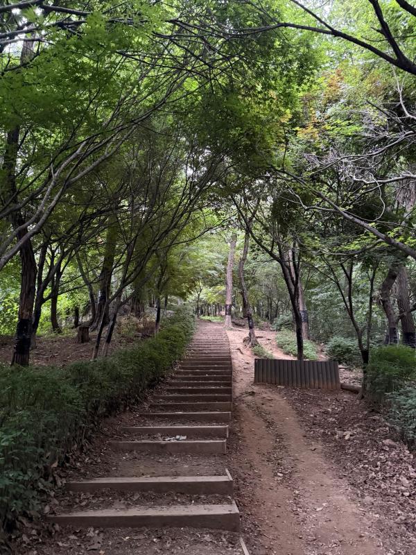 컨텐츠파일