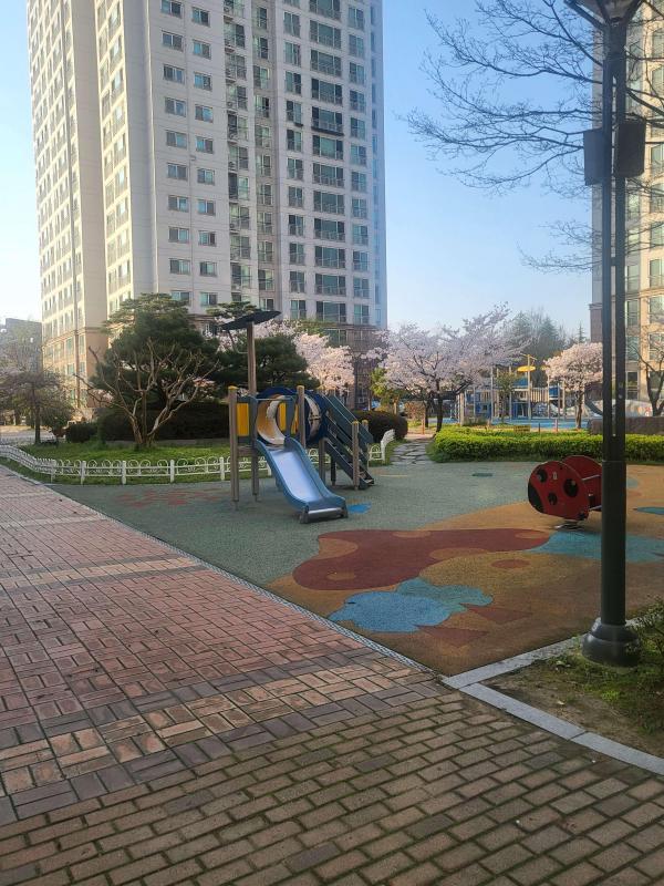 컨텐츠파일