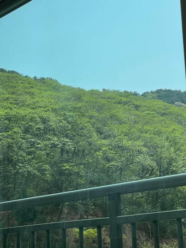 컨텐츠파일
