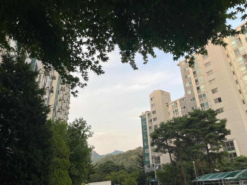 컨텐츠파일
