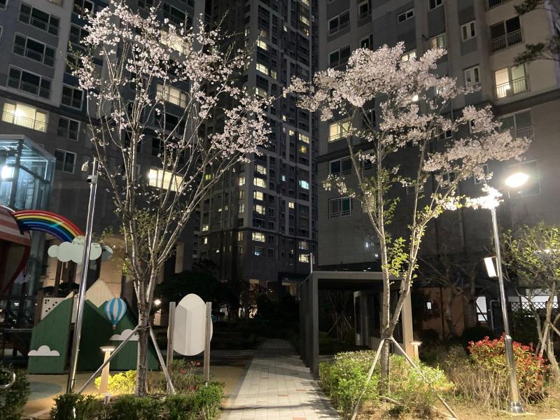 컨텐츠파일