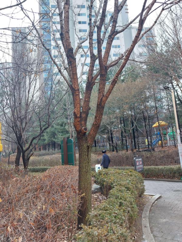 컨텐츠파일