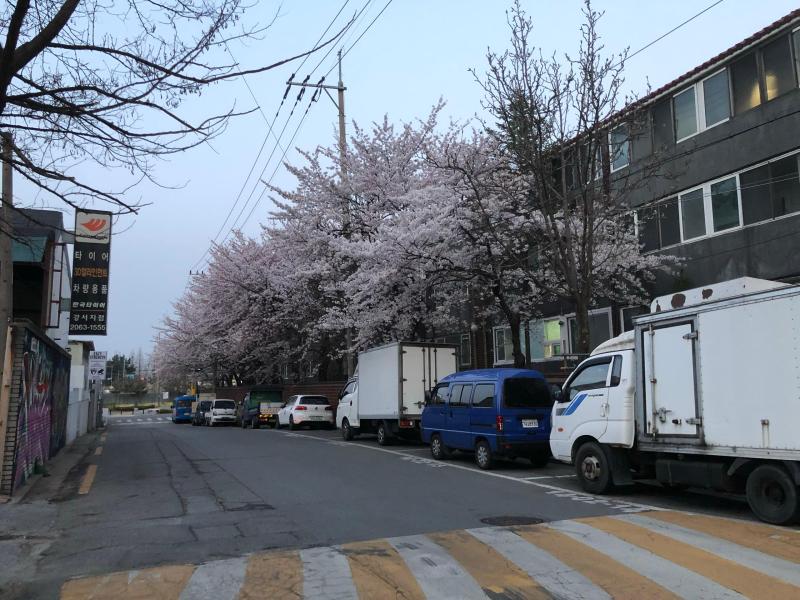 컨텐츠파일
