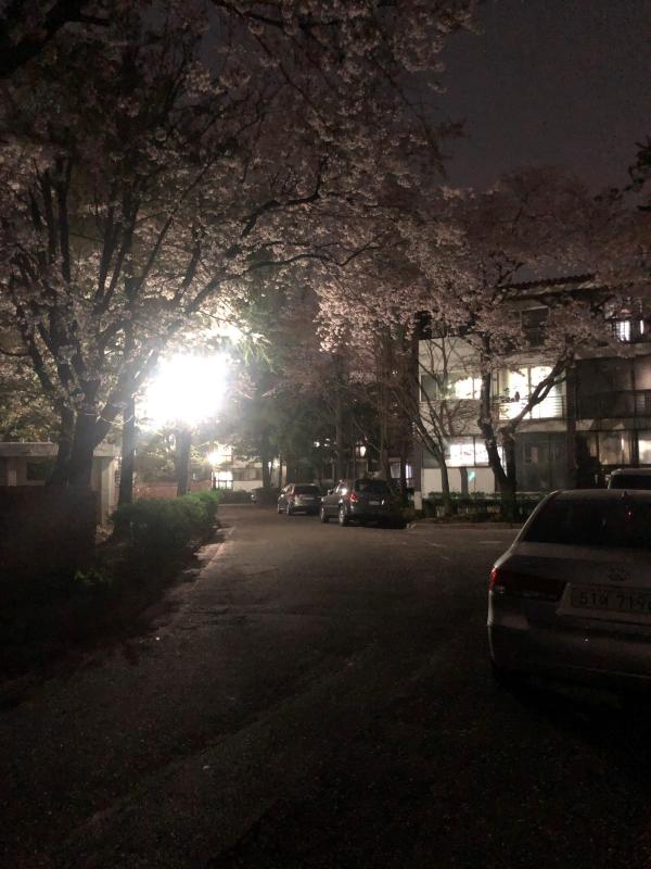 컨텐츠파일