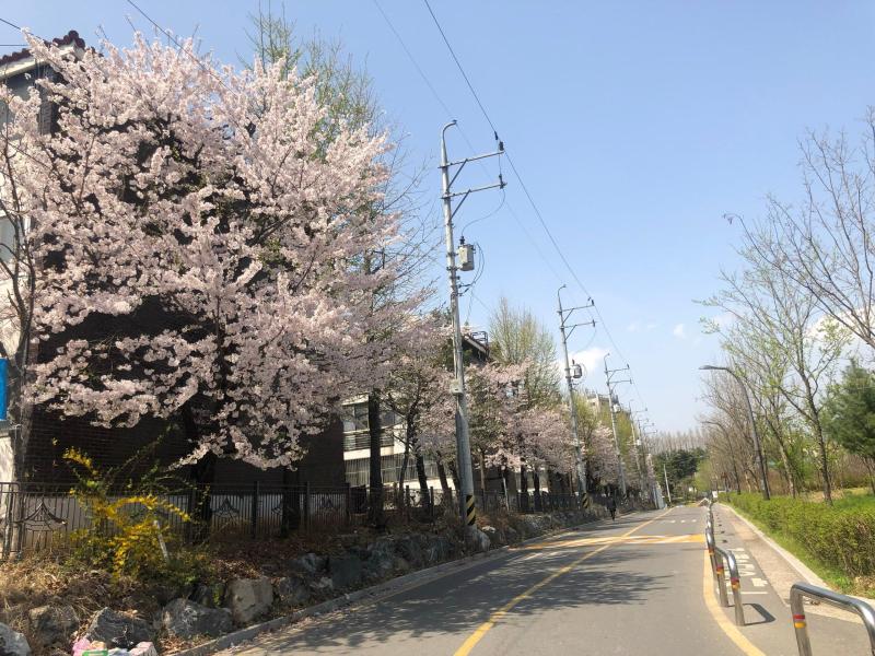 컨텐츠파일