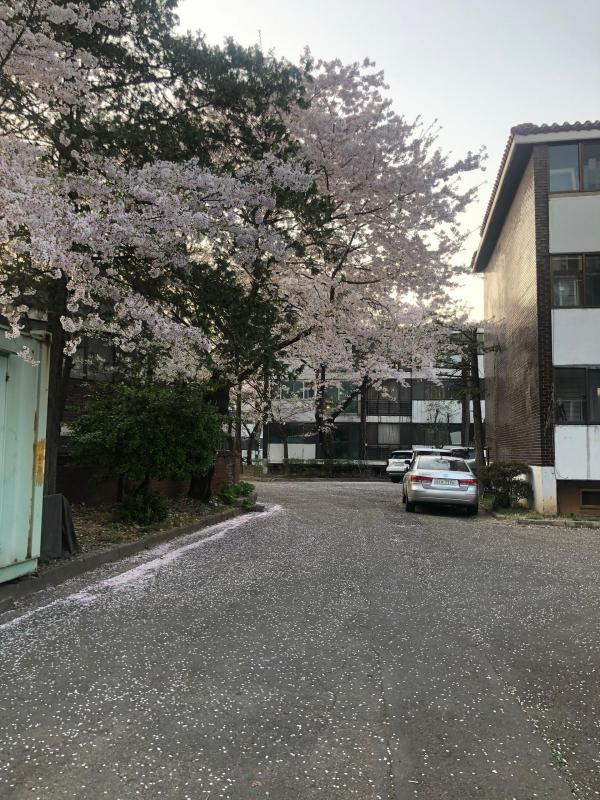 컨텐츠파일