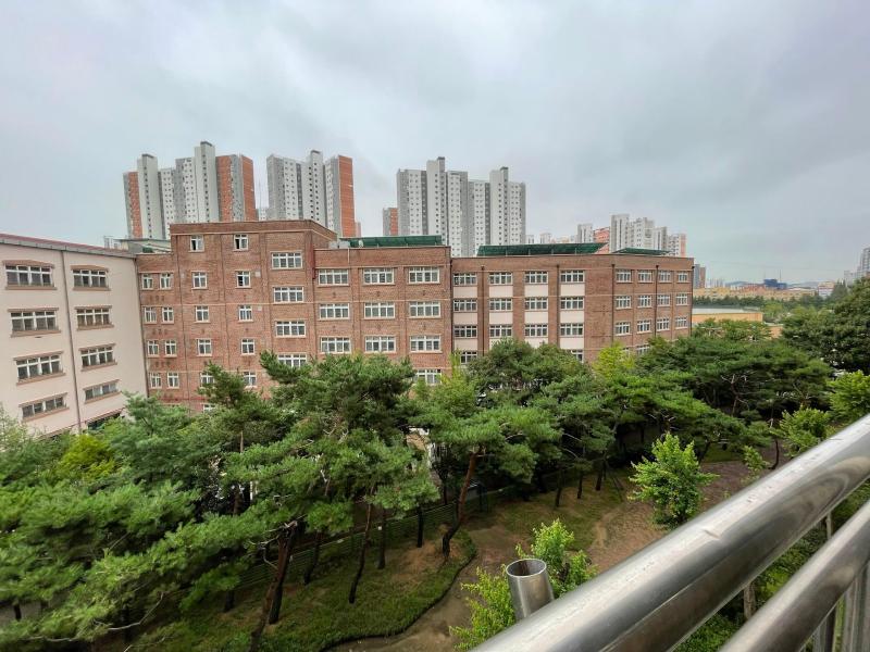 컨텐츠파일
