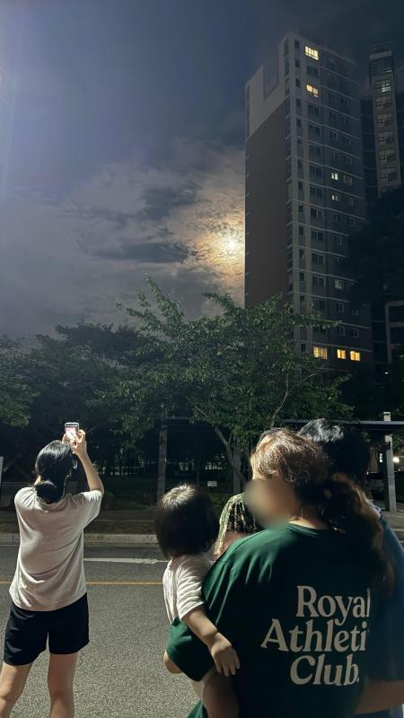 컨텐츠파일