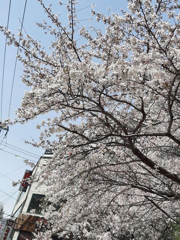 컨텐츠파일