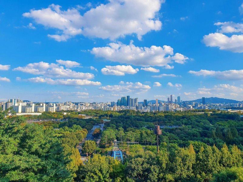📸오늘의 사진 : 청량하고 맑은 하늘 공원 | KB부동산